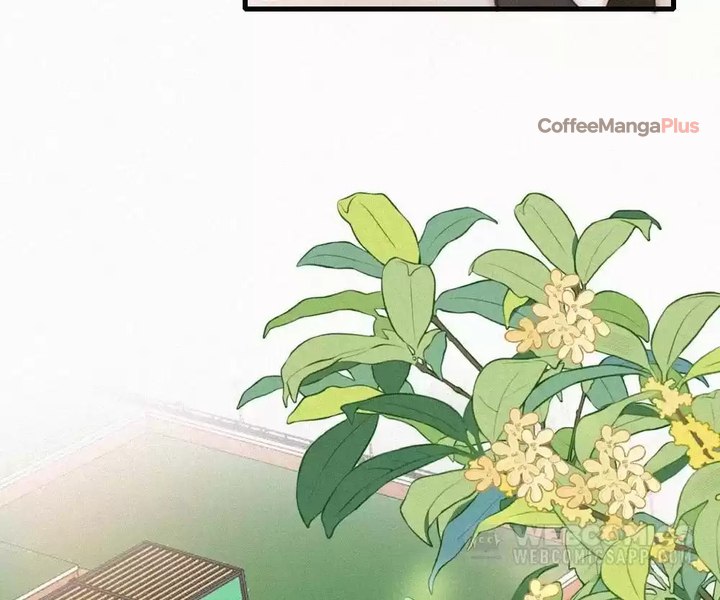 Stubbornly Doting on You - Chapter 143 - Page 19