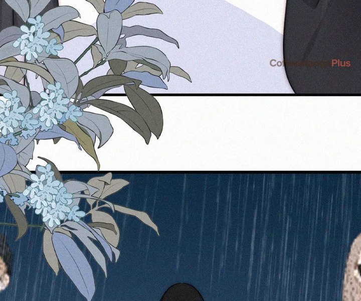 Stubbornly Doting on You - Chapter 139 - Page 24